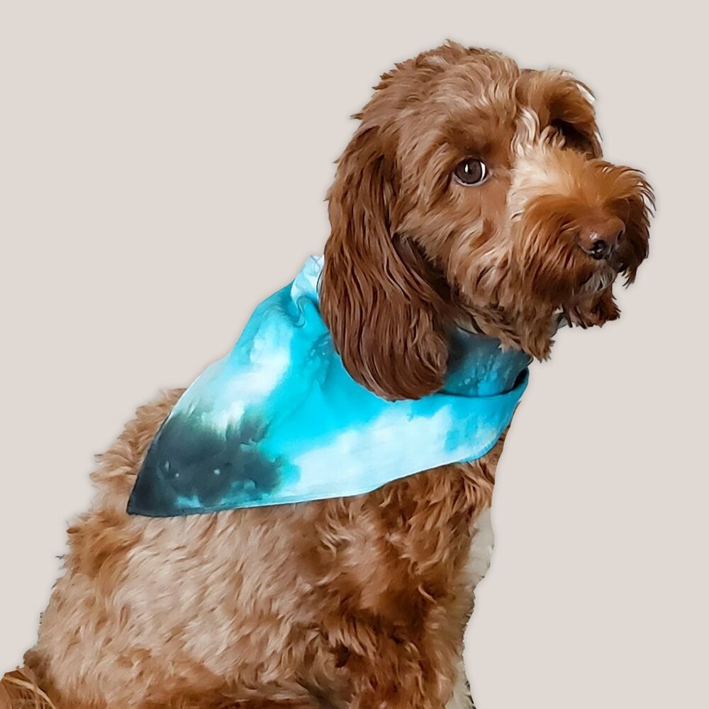 Baja Tie Dye Dog Bandana Scarf in Teal + Black Hand Dyed by Akasha Sun